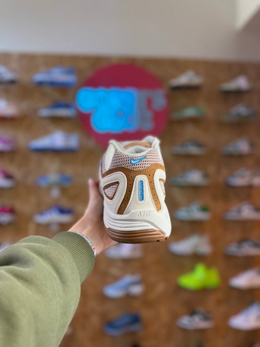 Nike Pegasus 2005