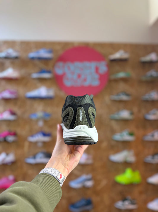 Nike pegasus 2005