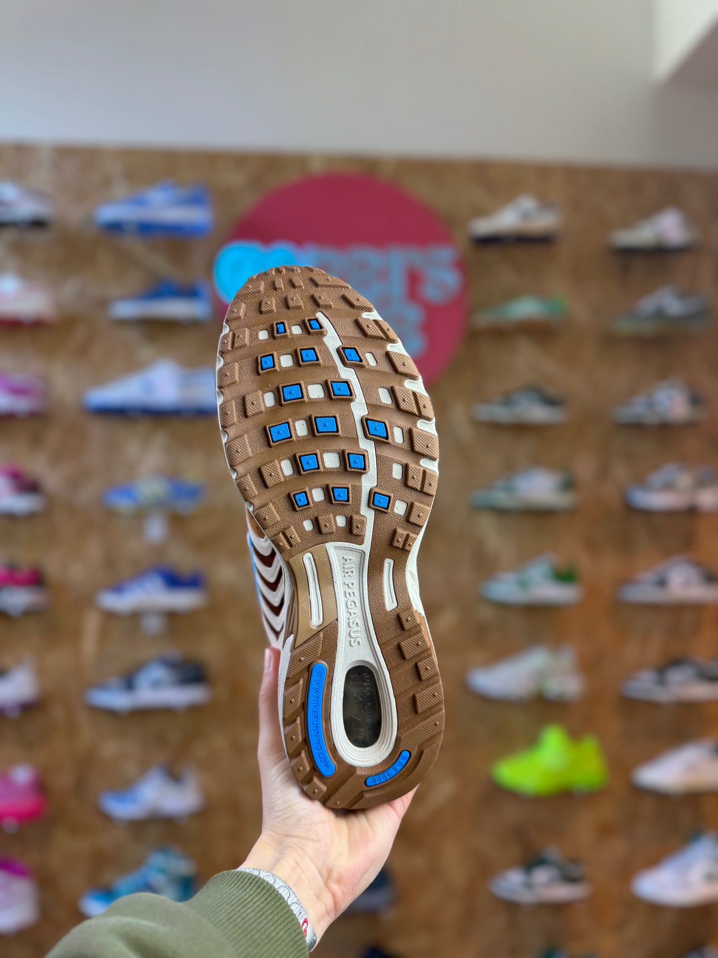 Nike Pegasus 2005