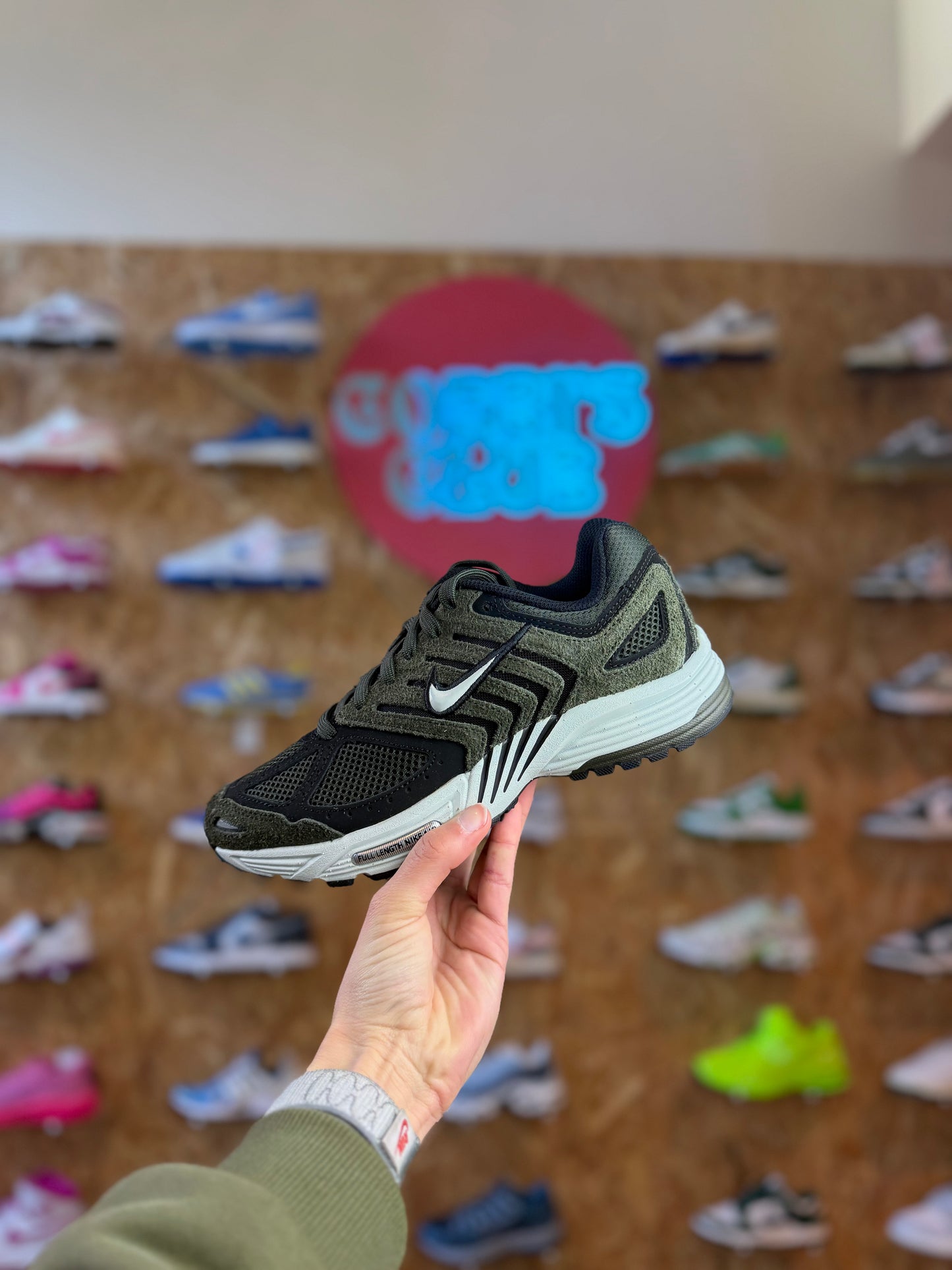 Nike pegasus 2005