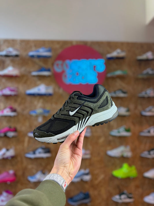 Nike pegasus 2005