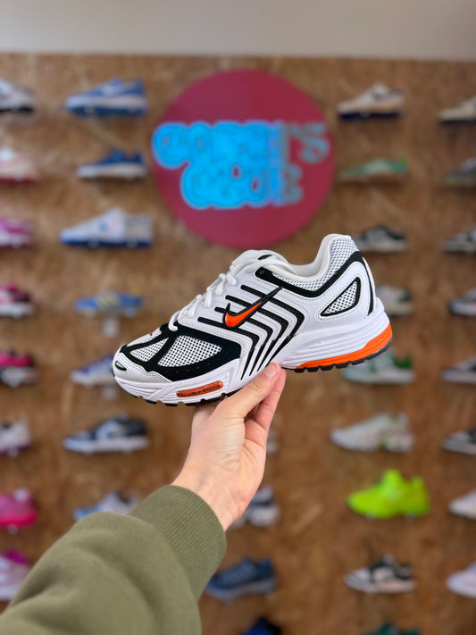 Nike pegasus 2005