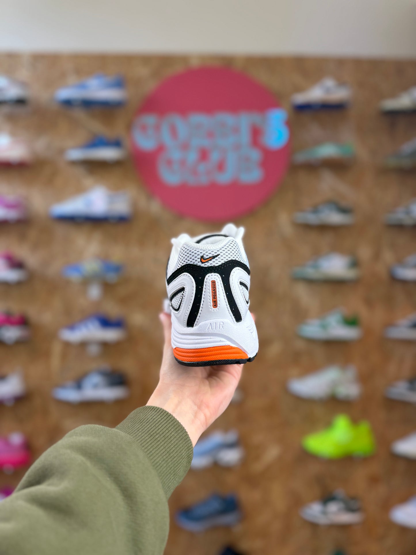 Nike pegasus 2005